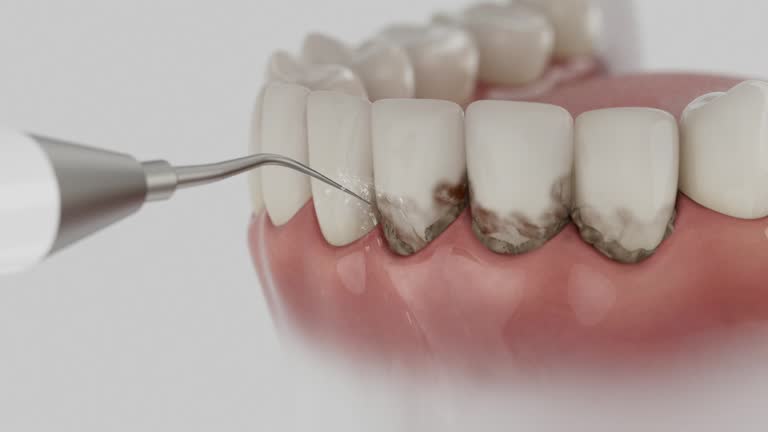Reliable Dental contractor in Ballenger Creek, MD by Dentist Open Now